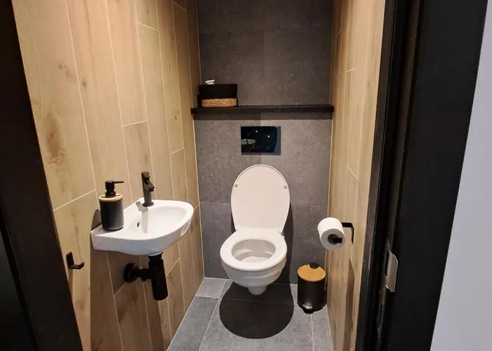 B Cube 101 贝尔特里